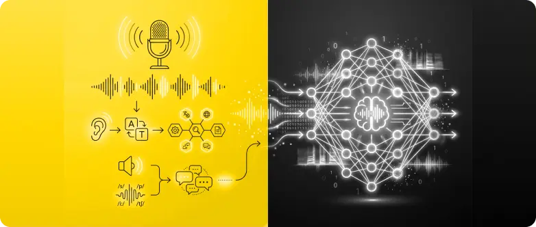 VoiceandSpeech2